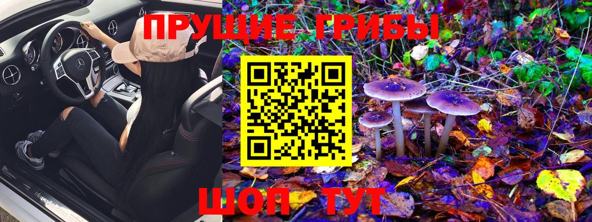 Балаково  продажа наркотиков  Вход с VPN  Псилоцибиновые грибы мухоморы 